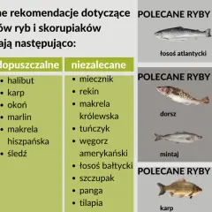 Jaka ryba dla dziecka jest bezpieczna i zdrowa? Sprawdź najlepsze wybory