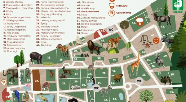 Gdzie z chorym dzieckiem w weekend? Sprawdź bezpieczne i spokojne miejsca