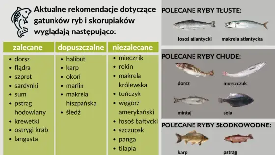 Jaka ryba dla dziecka jest bezpieczna i zdrowa? Sprawdź najlepsze wybory